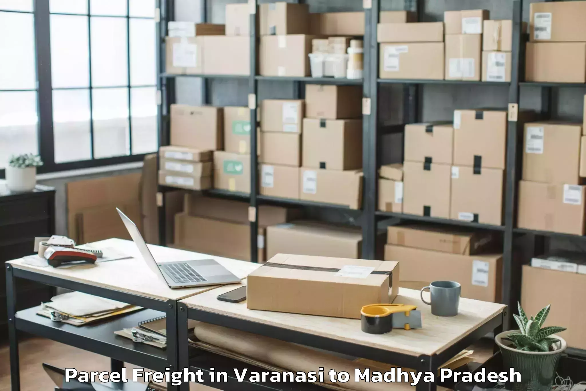 Top Varanasi to Ashoknagar Parcel Freight Available